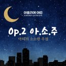 (주)피아노