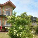 대관령 지니하우스 이미지