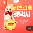 페츠런 | 강아지택시! 펫단독이동도 가능한 페츠런!