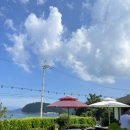 핑스애견펜션 이미지