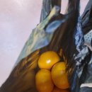 마포농수산물시장화장실 이미지