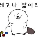 카페날다