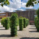 2000밀레니엄 이미지