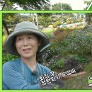 돌빌레 이미지