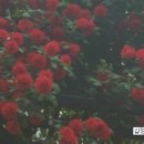 신명공인중개사사무소 이미지