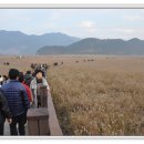 운정초등학교 이미지