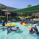 삼동면 전도3 이미지