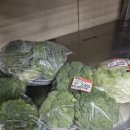 하나로할인마트 | 양재 하나로마트 식자재마트 방문 후기🛒 | 가격도 착하고 품질도 굿!