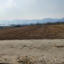 미강부동산중개사무소 이미지