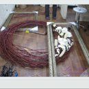 중앙장식 이미지