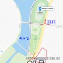 구공설운동장 | 장성 황룡강 가을꽃축제(구 노란꽃 축제)의 첫날 방문 후기