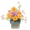 우신정육점 이미지