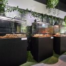 부천자연생태박물관 이미지