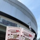 206 | 서울 고척스카이돔 3루 다크버건디 206구역 H열 시야 및 야구 경기 후기