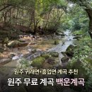 백운 | 원주 계곡 추천 귀래면 백운계곡 후기 음식점 이용 없이 즐기는 원주 무료 계곡