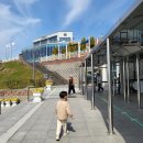 (주)아라마루 | [사천] 아라마루 아쿠아리움 솔직후기 / 아이랑 사천여행