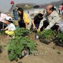 윤종석농장 이미지
