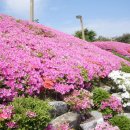 레이크힐스골프장 이미지