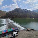 대가야반점 이미지