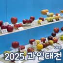 전국과일 - 청주시 흥덕구 과상미로59번길 17 | 2025 전국 과일대전 대전 박람회 후기