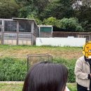 충북야생동물센터 이미지