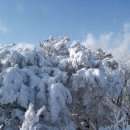 뜸부기산악회 1월 제156차 산행계획 이미지