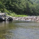 법수농원 이미지