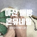 네일온유(nail on:u) | 아산 배방 ㅣ 아산네일 배방네일 패디큐어 온유네일