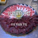 안양집 - 618638 | 안양 뭉티기 맛집 찾는다면? 안양뭉티기집 차돌사시미 솔직 후기