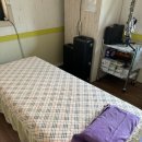 라파지압원 이미지