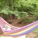 신상농장 이미지