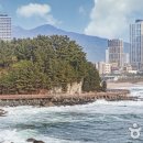 바다향기 이미지