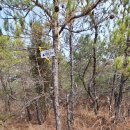 보현보건진료소 이미지