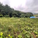 신두리보건진료소 이미지