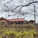 개나리꽃민박 이미지