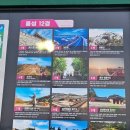 홍주의사총 주차장 | 충남 홍성 남당항 새조개축제 포토존 먹거리