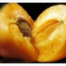 차만들기 이미지