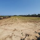 구좌중앙초등학교 이미지