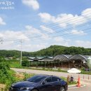 지니디오