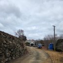 대영농원3농장 | 사천 대영농원에서 봄을 알리는 ‘홍매화’를 만나다.