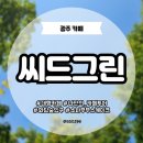 [광주] 대형카페 |씨드그린| 곤지암화담숲입구 소나무무스케이크 주차 메뉴 후기