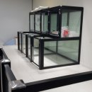 도그어게인 이미지