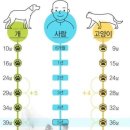 계산동물병원 이미지