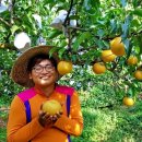 신선팜스 이미지