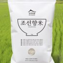 향미미 - 동대문구 경희대로1길 8-13 | [상품 리뷰] 깊은 맛과 품질이 인상적인 조선향미쌀 백미 후기(feat. 25년 햅쌀)