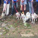 룰루랄라 이미지