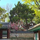 부평도호부관아 | 부평향교, 부평도호부관아는 왜 계양구에 있을까