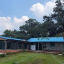 동강어죽 이미지