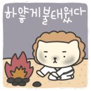 한양대 하나태권도장 이미지