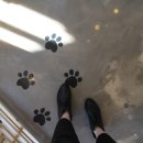 이쁘개 이쁘개 이미지